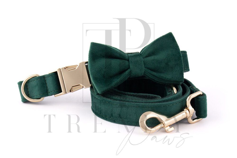 GREEN VELVET DOG COLLAR AND BOWTIE LEASHES