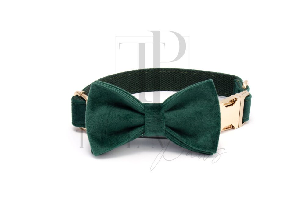 Green velvet dog collar and bowties