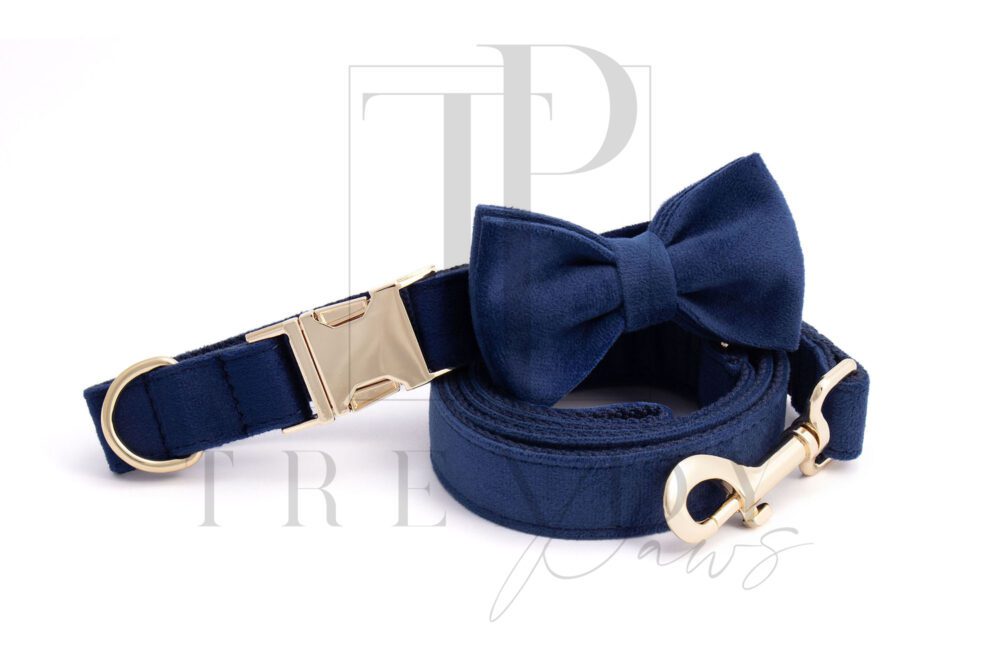 BLUE VELVET DOG COLLAR AND BOWTIE LEASHES