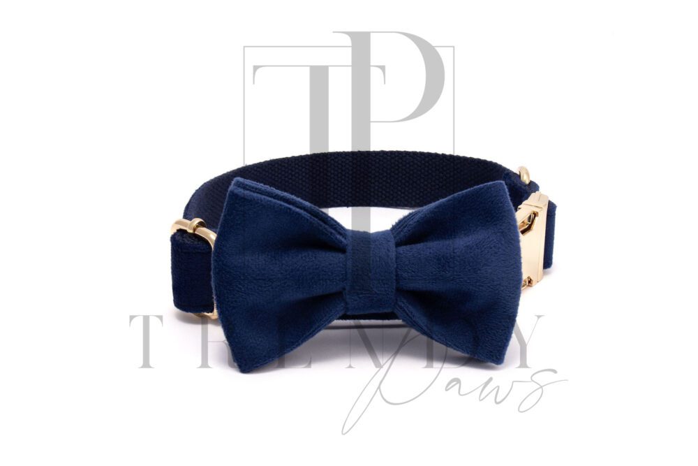 Blue velvet dog collar and bowties