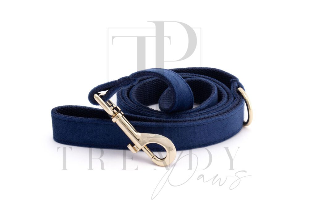 Blue velvet dog leashes