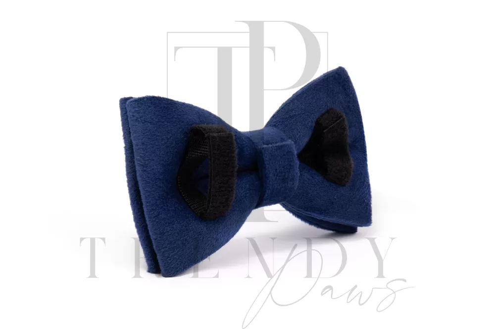 Blue velvet dogs bow ties