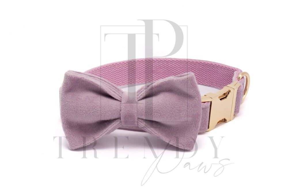 Lavender velvet dog collar and bowties