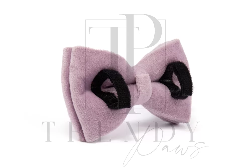 Lavender velvet dogs bow ties