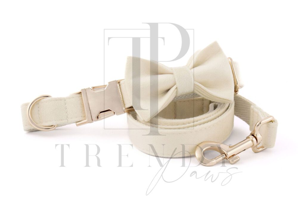 Milky white velvet dog collar and bowtie, leashes