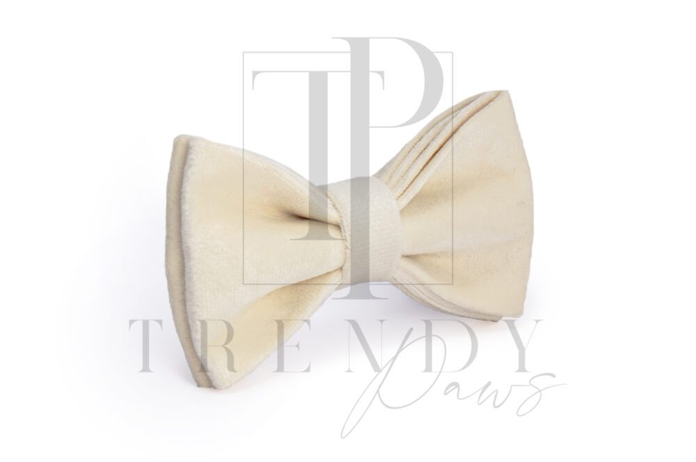 Milky white dogs bow ties
