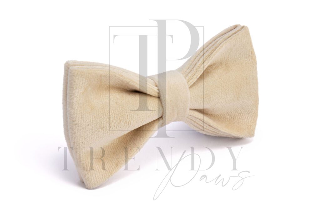 Trendy paws dog cream bow tie