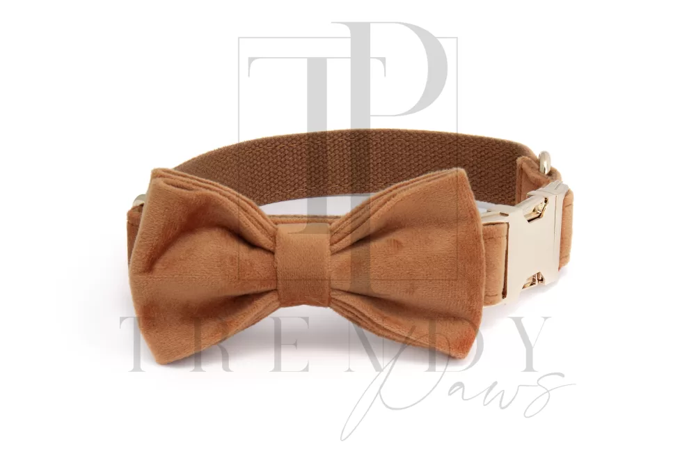 Trendy paws Caramel dog collar and bowtie