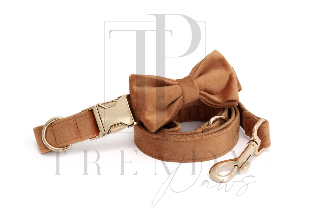 Trendy paws Caramel velvet dog collar and bowtie, leashes