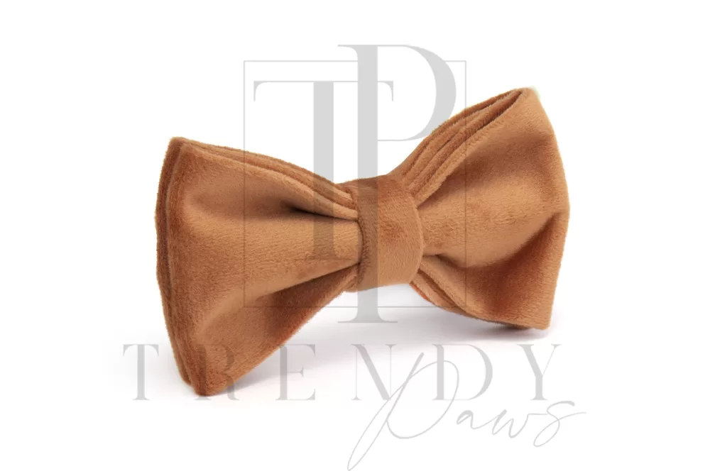 Trendy paws dog caramel bow tie