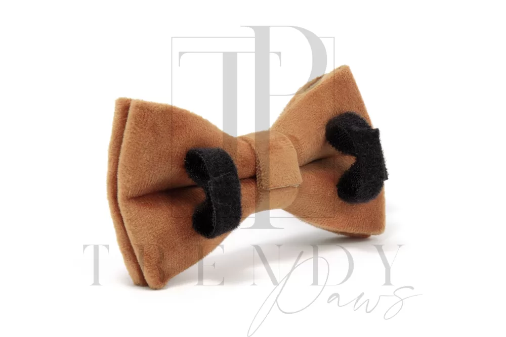 Trendy paws dog caramel bow ties