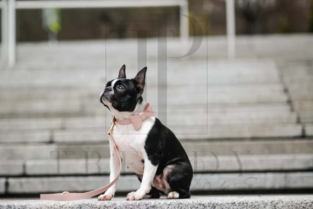 Pink Trendy paws pu leacher dog bow tie