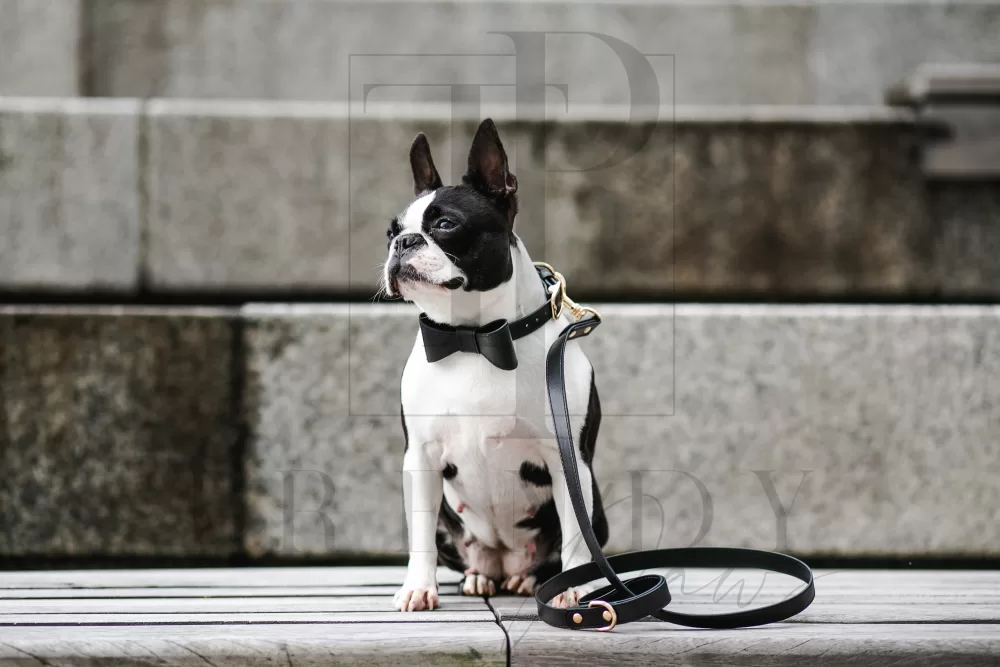 Trendy paws black pu leacher dog bow tie