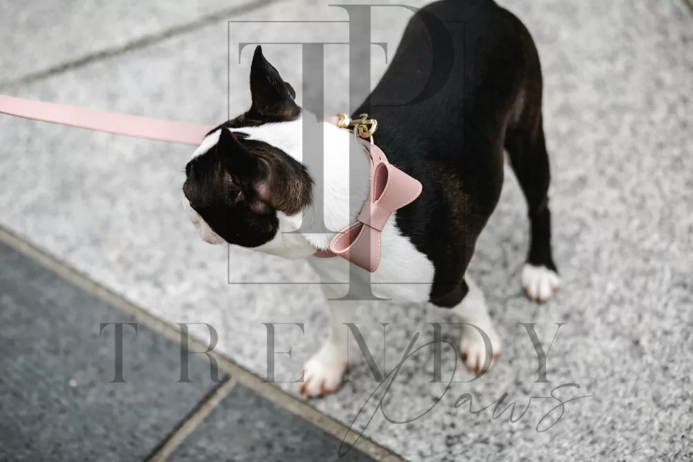 Trendy paws pu leacher dog bow tie pink